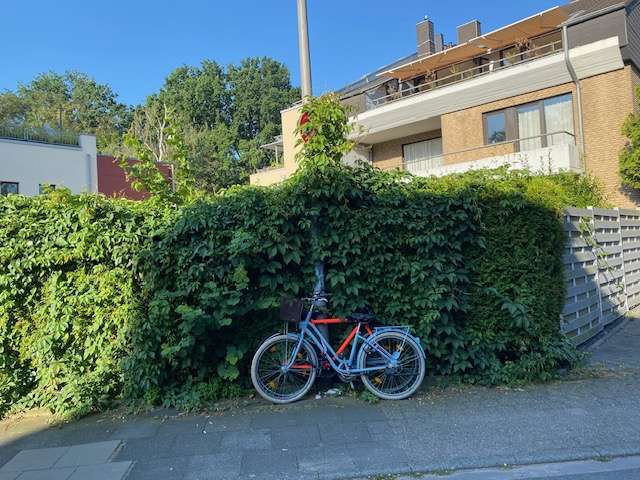 Bild zu gemeldetem Anliegen vom *2024-07-19 15:27:37