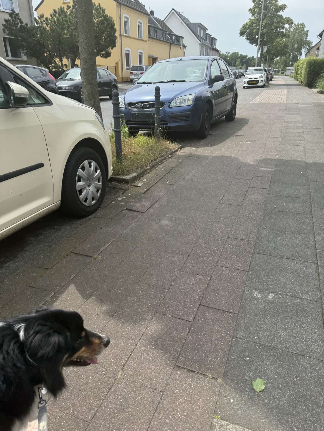 Bild zu gemeldetem Anliegen vom *2024-07-22 08:10:28