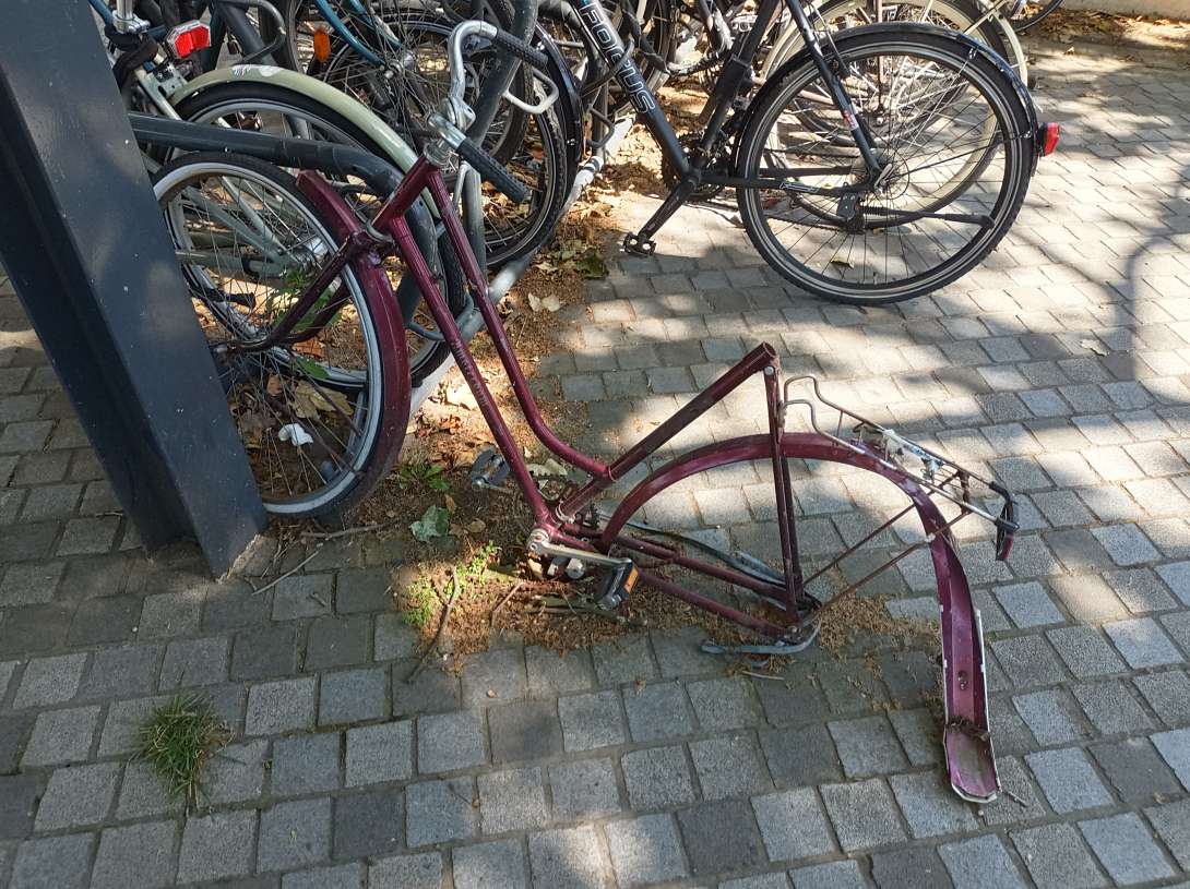 Bild zu gemeldetem Anliegen vom *2024-07-05 06:01:33
