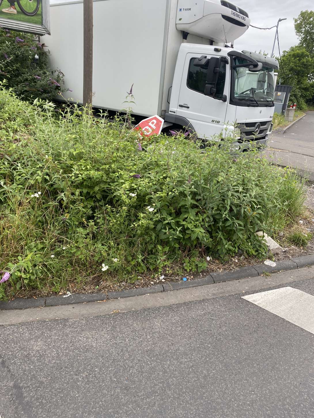 Bild zu gemeldetem Anliegen vom *2024-07-06 10:49:29