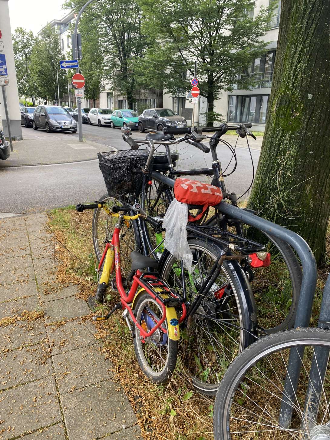 Bild zu gemeldetem Anliegen vom *2024-07-08 08:38:59