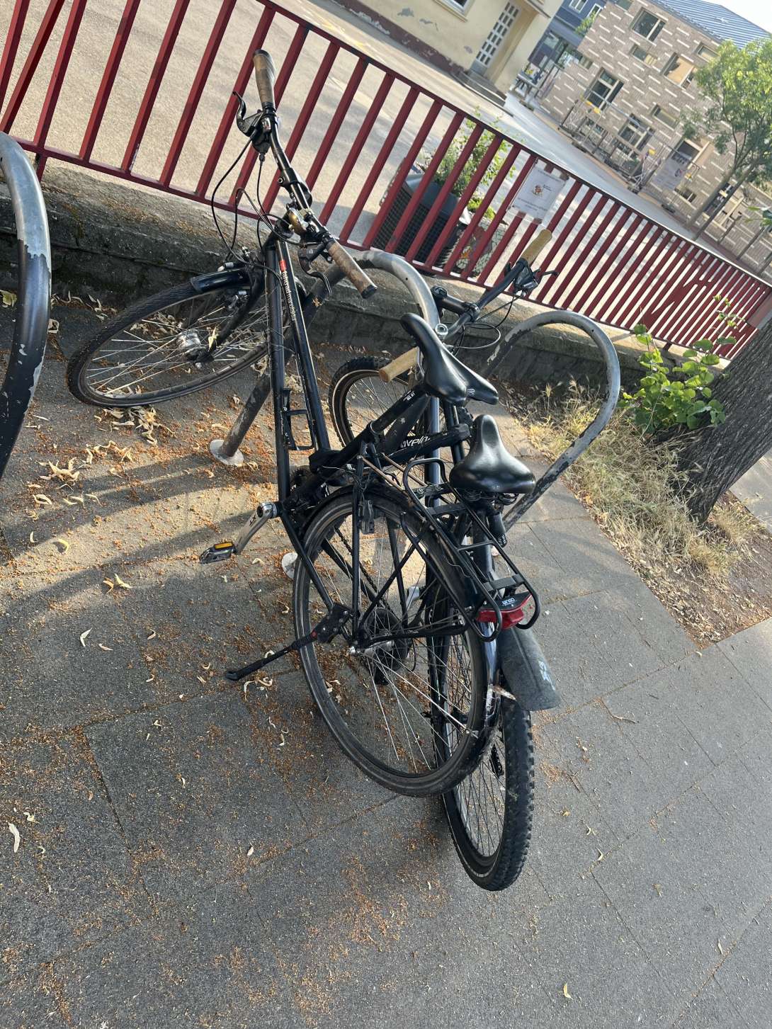 Bild zu gemeldetem Anliegen vom *2024-07-01 12:10:47