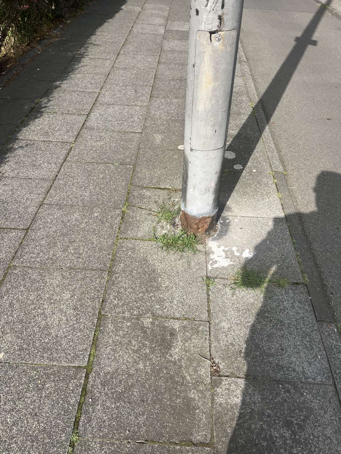 Bild zu gemeldetem Anliegen vom *2024-07-18 08:18:49