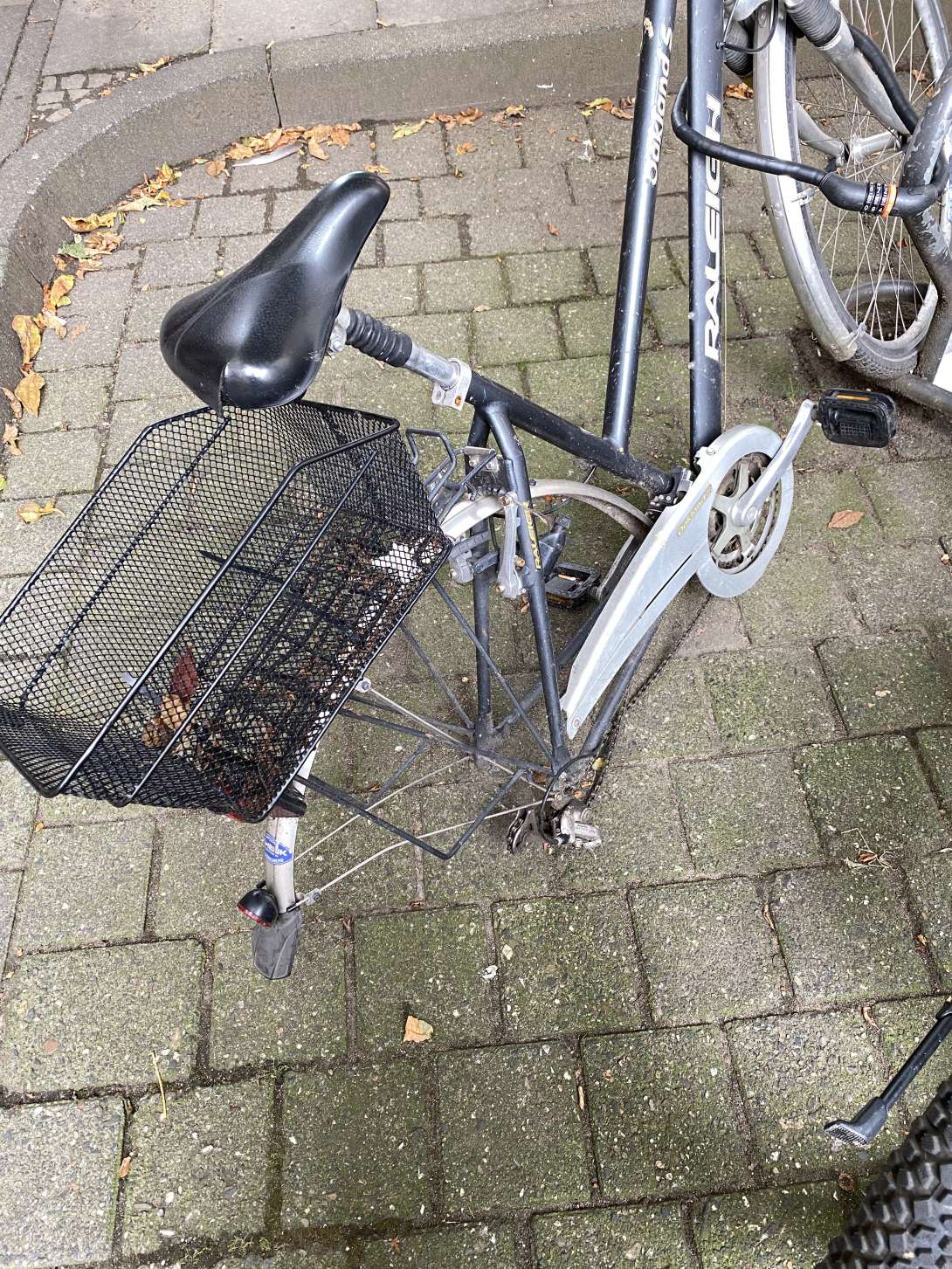 Bild zu gemeldetem Anliegen vom *2024-07-22 08:19:31