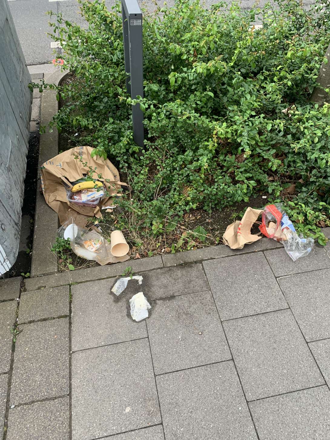 Bild zu gemeldetem Anliegen vom *2024-07-10 19:18:13