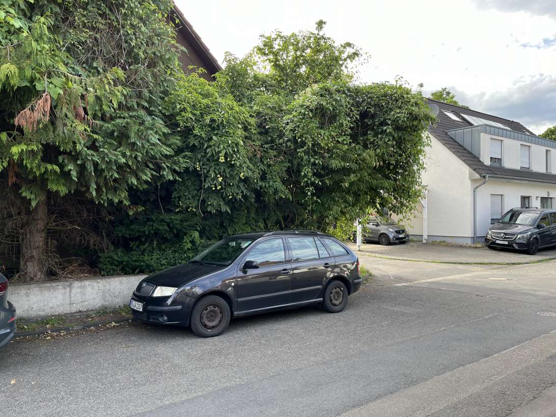 Bild zu gemeldetem Anliegen vom *2024-07-07 18:49:19
