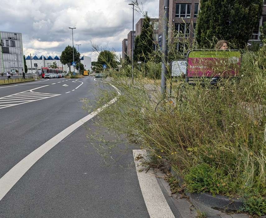 Bild zu gemeldetem Anliegen vom *2024-07-10 14:38:16