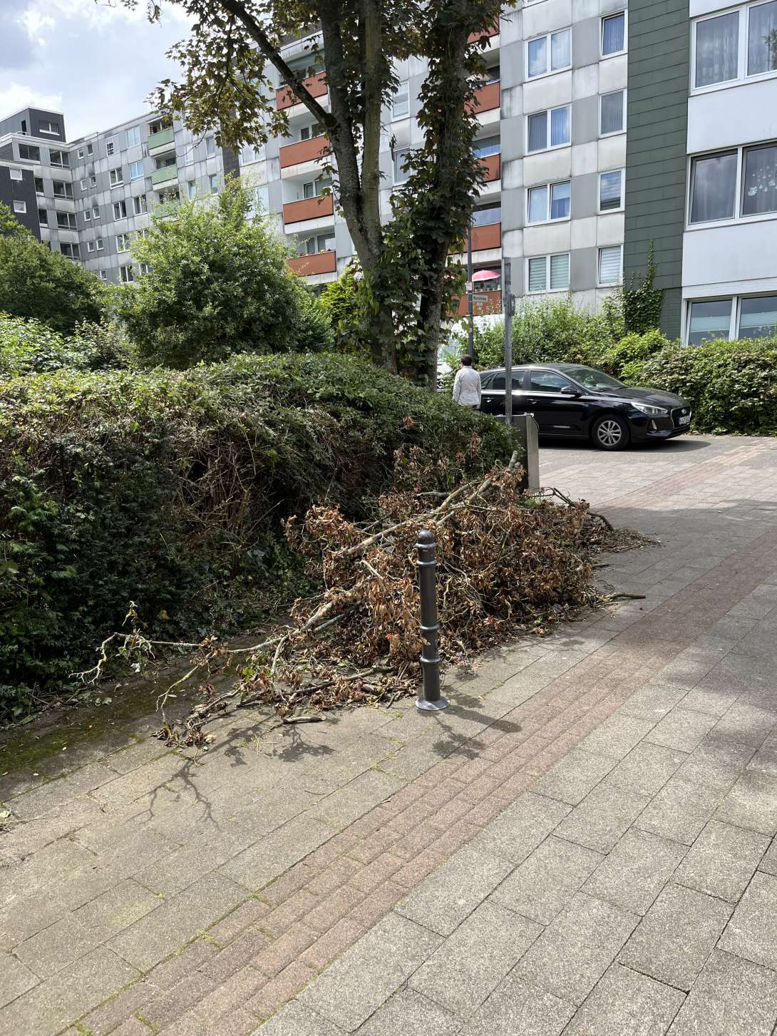 Bild zu gemeldetem Anliegen vom *2024-07-07 14:38:21