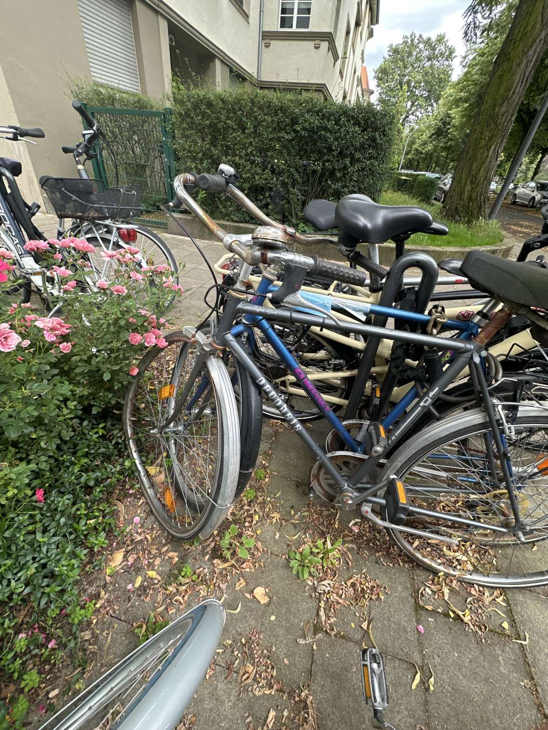 Bild zu gemeldetem Anliegen vom *2024-07-09 11:34:11
