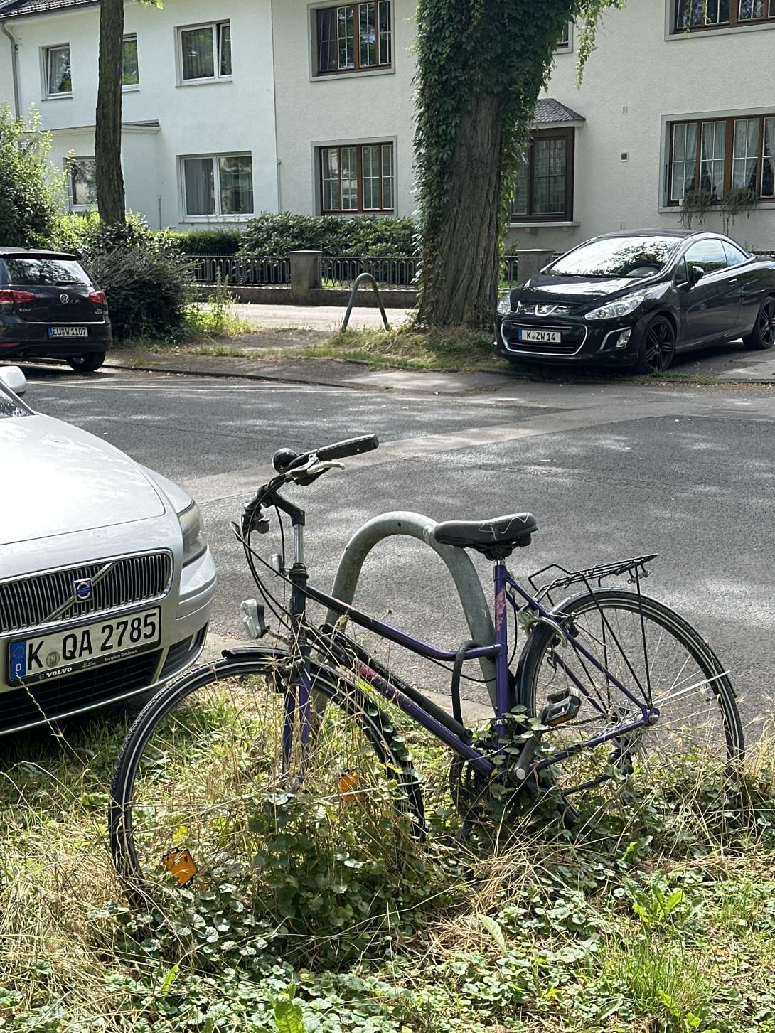 Bild zu gemeldetem Anliegen vom *2024-07-08 11:47:49