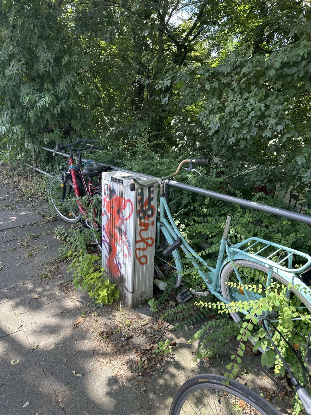 Bild zu gemeldetem Anliegen vom *2024-07-09 11:30:54