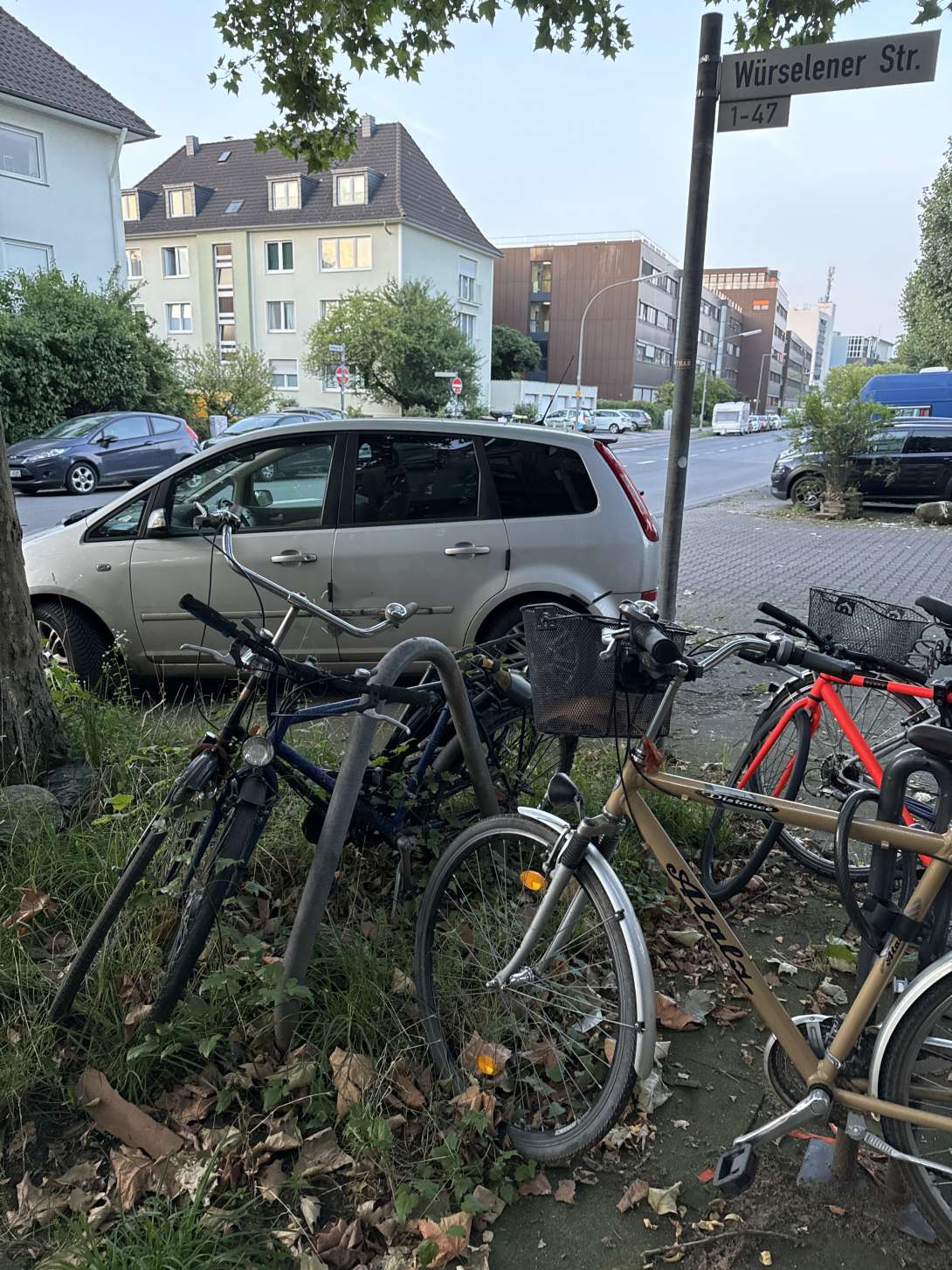 Bild zu gemeldetem Anliegen vom *2024-07-18 16:33:52