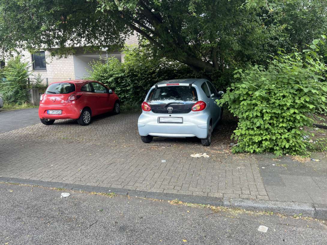 Bild zu gemeldetem Anliegen vom *2024-07-23 14:01:43