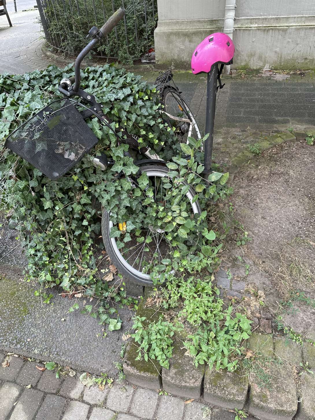 Bild zu gemeldetem Anliegen vom *2024-07-24 14:45:09