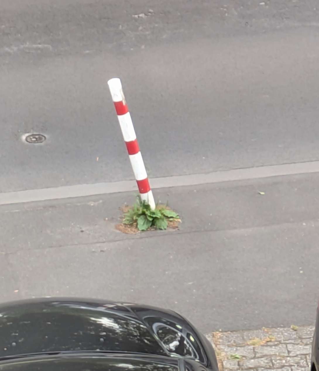Bild zu gemeldetem Anliegen vom *2024-08-23 19:57:02