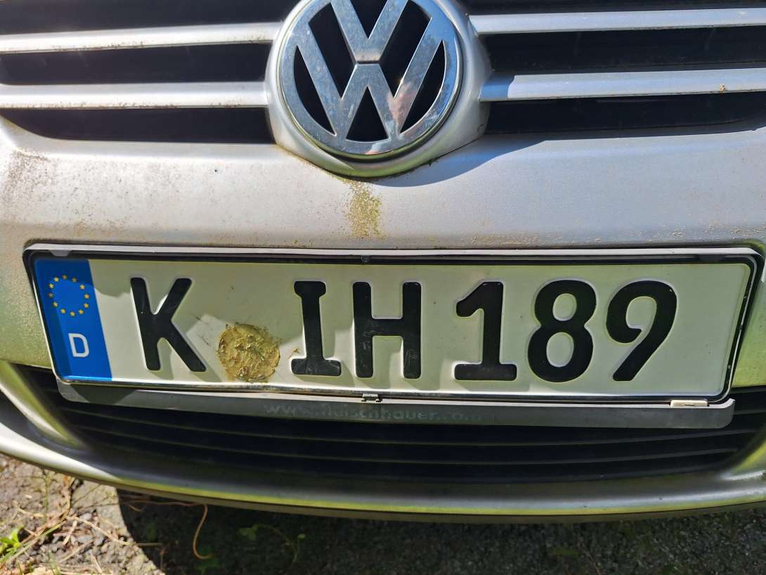 Bild zu gemeldetem Anliegen vom *2024-08-09 15:01:49