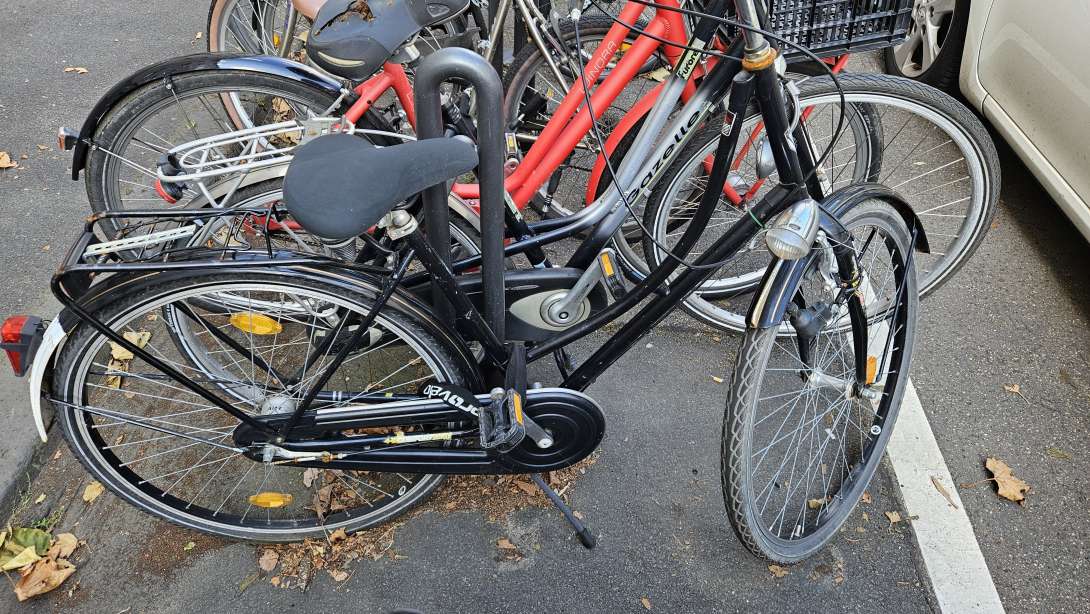 Bild zu gemeldetem Anliegen vom *2024-08-25 16:57:26