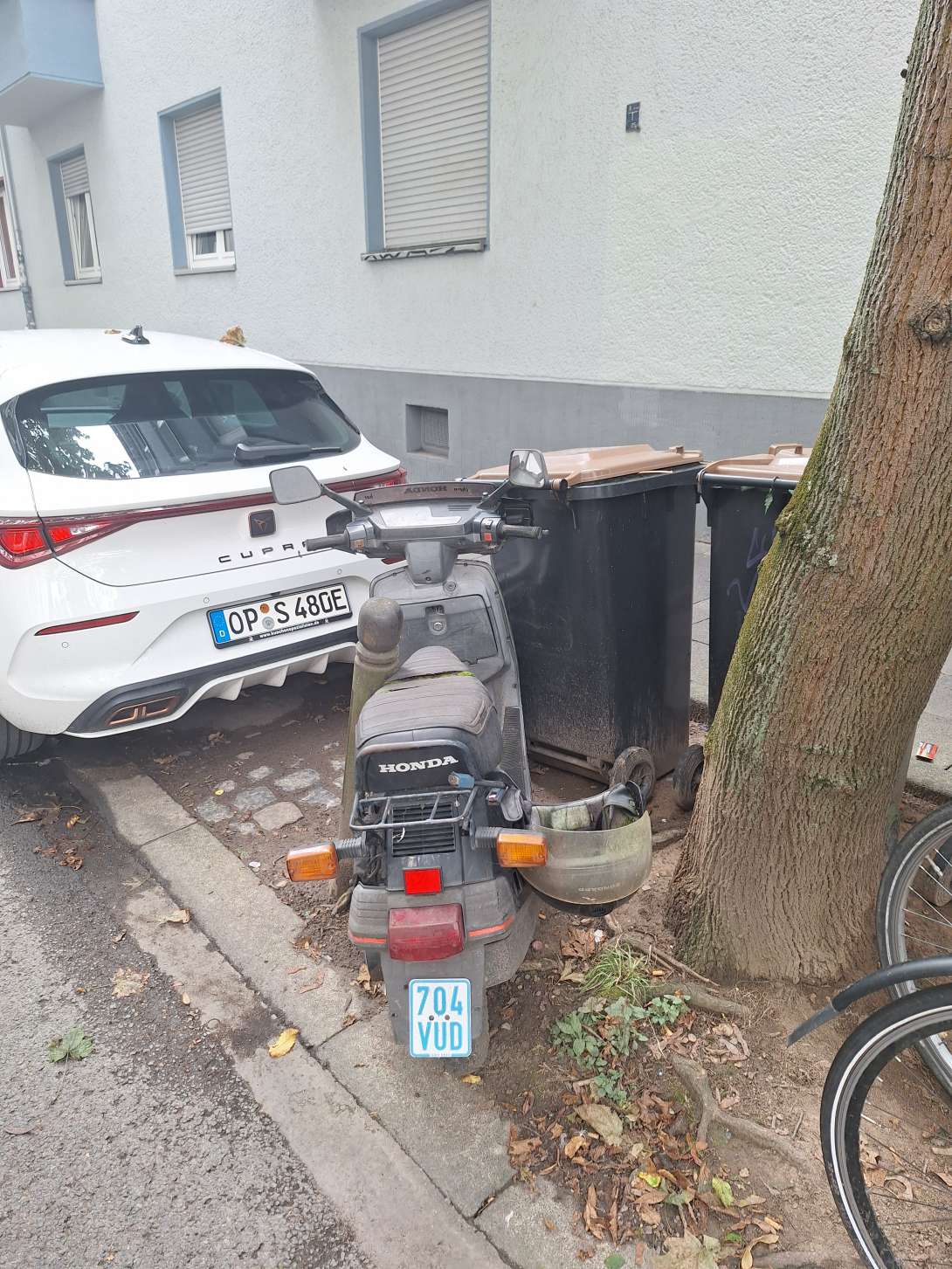 Bild zu gemeldetem Anliegen vom *2024-08-19 09:11:22