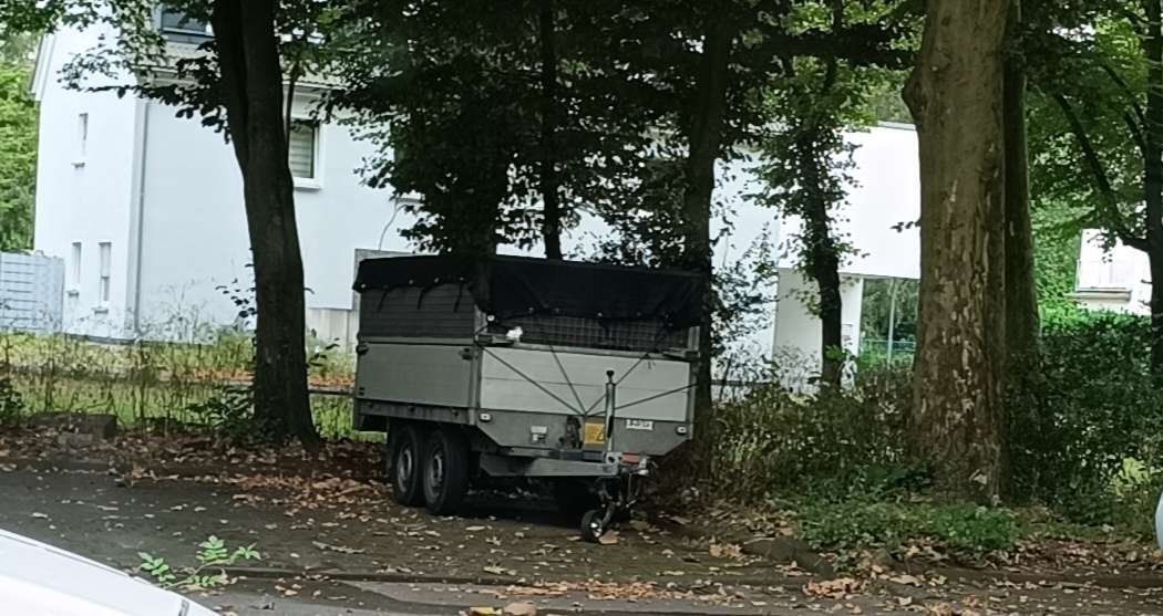 Bild zu gemeldetem Anliegen vom *2024-08-15 11:58:03