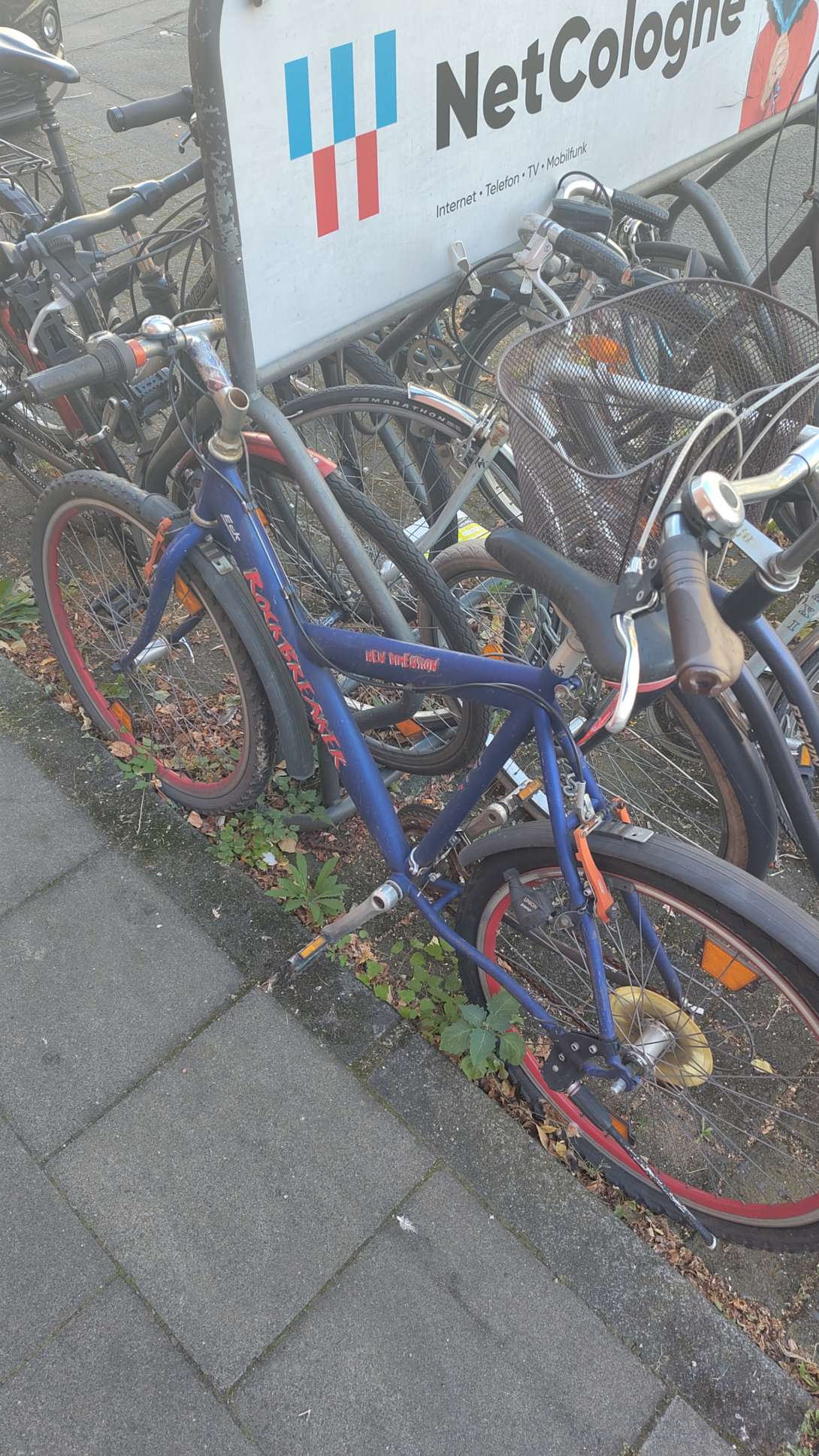 Bild zu gemeldetem Anliegen vom *2024-08-12 17:24:36