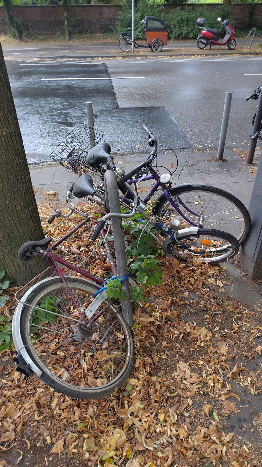 Bild zu gemeldetem Anliegen vom *2024-08-13 23:47:31