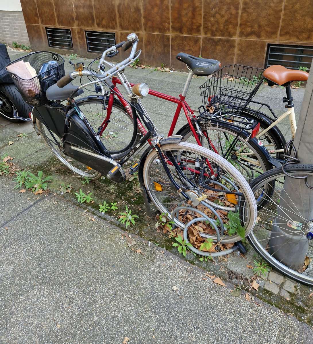 Bild zu gemeldetem Anliegen vom *2024-08-31 12:54:53