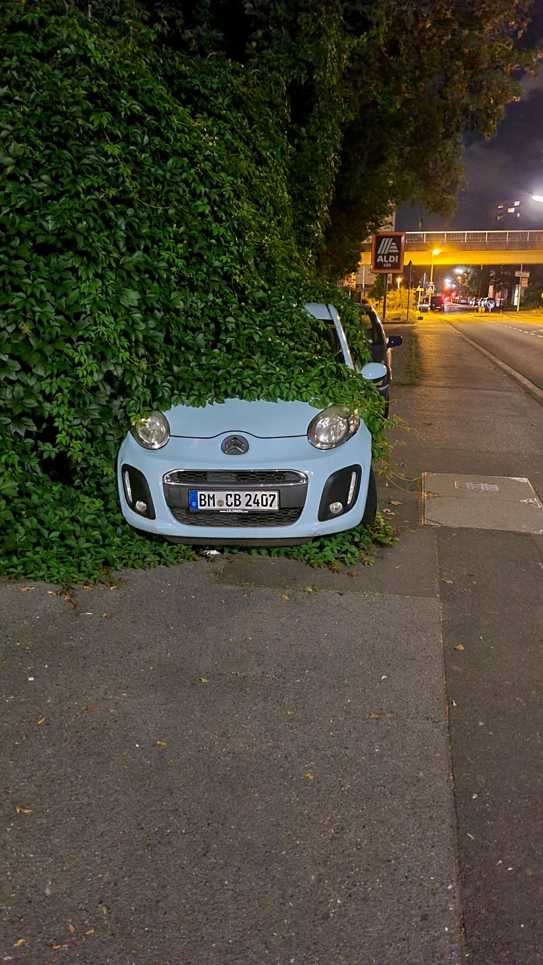 Bild zu gemeldetem Anliegen vom *2024-08-18 21:09:05