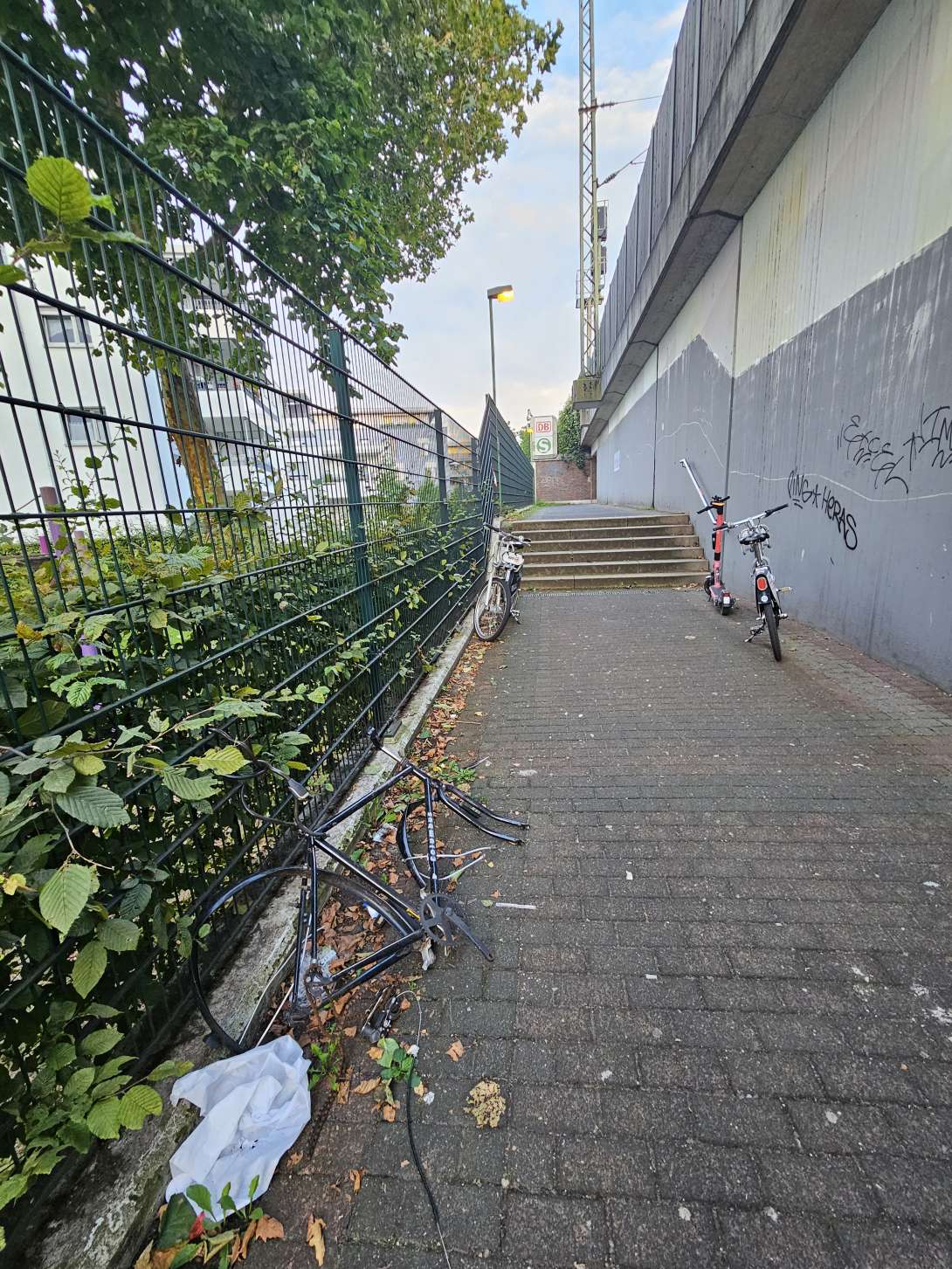 Bild zu gemeldetem Anliegen vom *2024-08-09 07:29:45