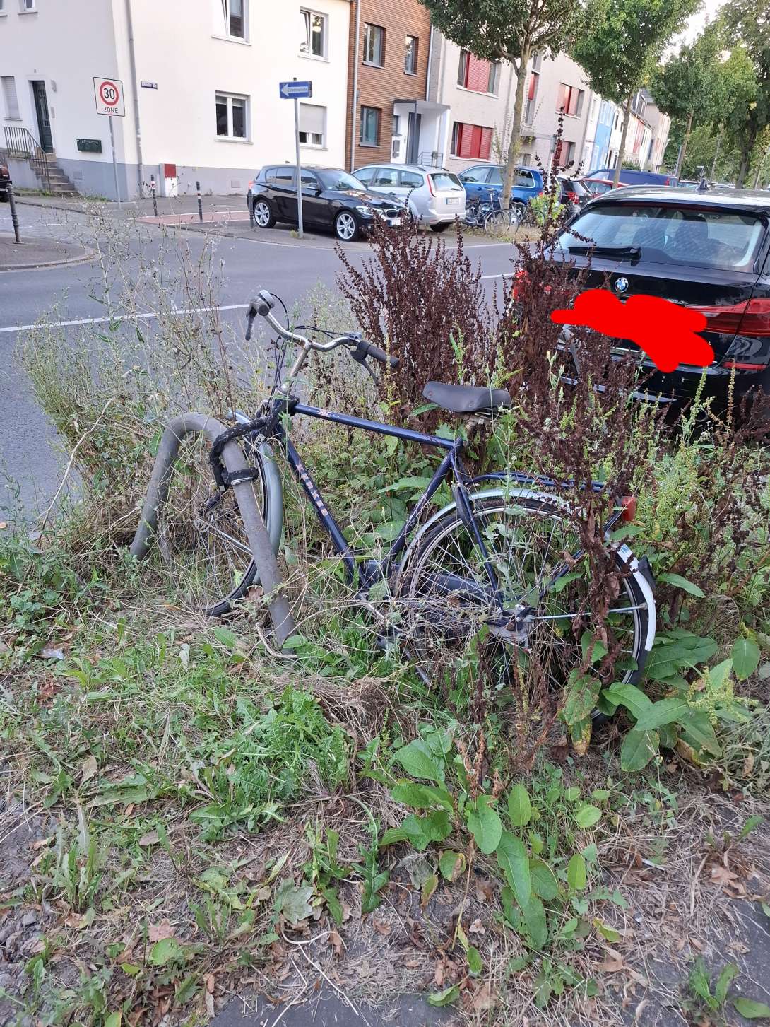 Bild zu gemeldetem Anliegen vom *2024-08-12 06:51:42