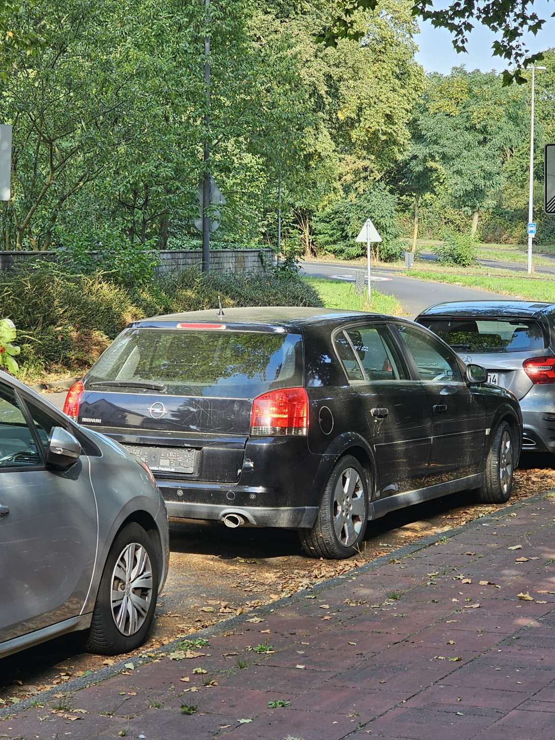 Bild zu gemeldetem Anliegen vom *2024-08-14 18:33:06