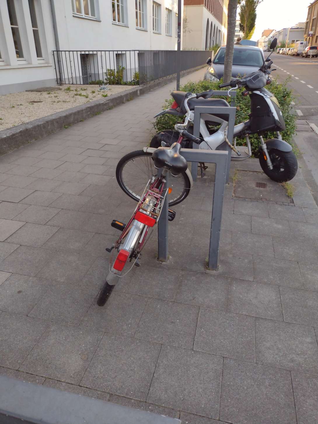 Bild zu gemeldetem Anliegen vom *2024-08-27 15:12:32