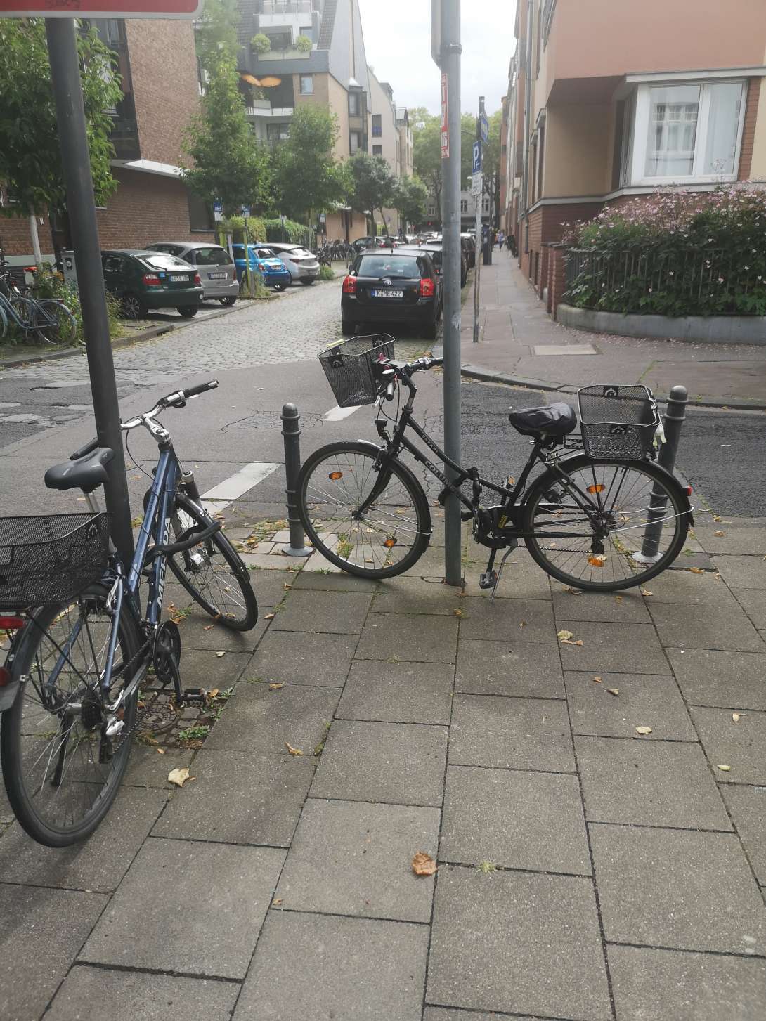 Bild zu gemeldetem Anliegen vom *2024-08-19 09:02:35