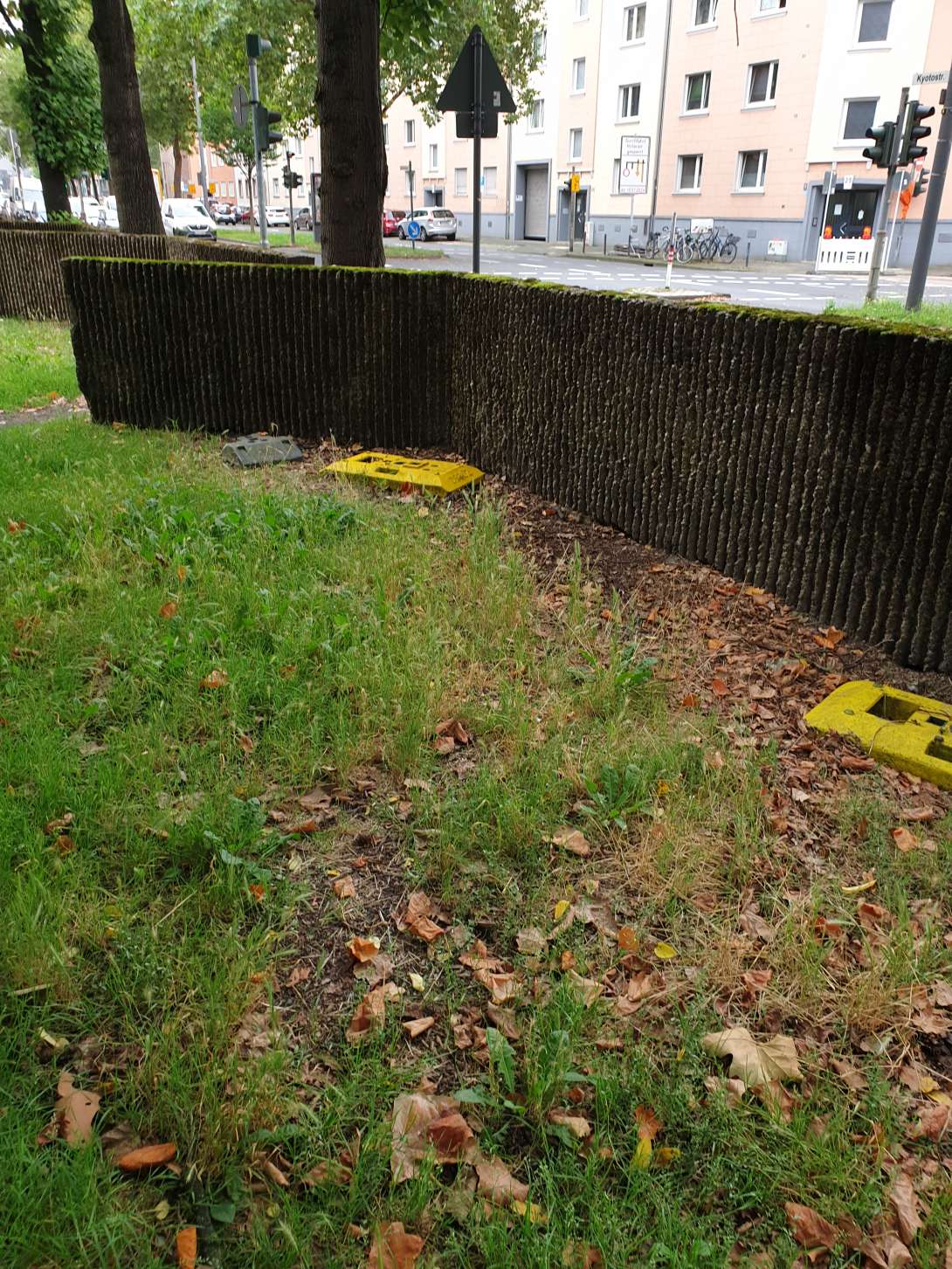 Bild zu gemeldetem Anliegen vom *2024-08-01 11:50:08