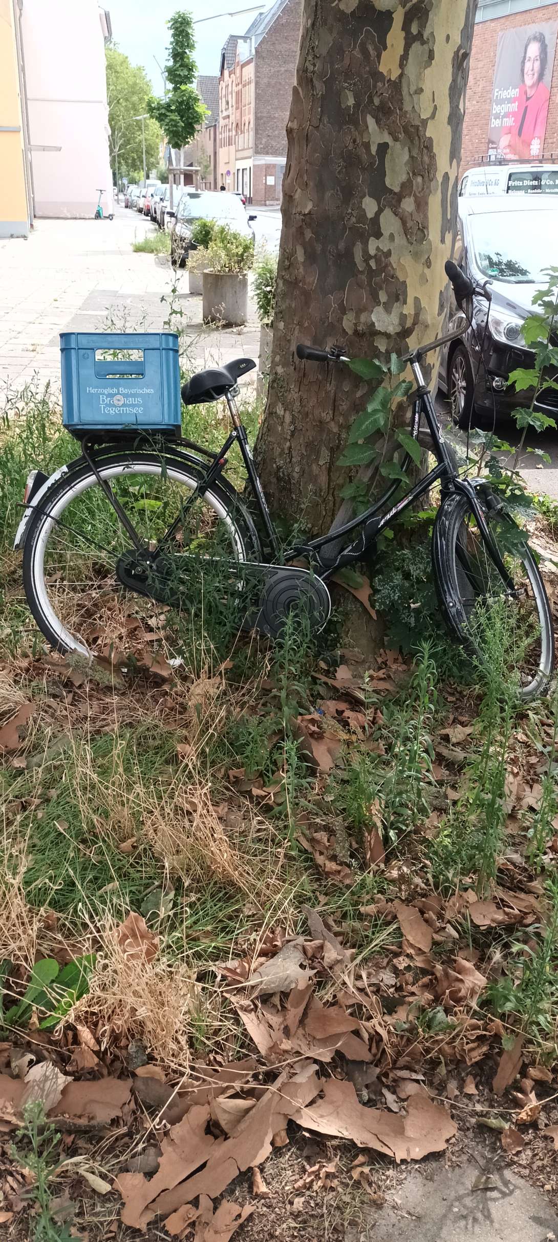 Bild zu gemeldetem Anliegen vom *2024-08-09 12:20:33