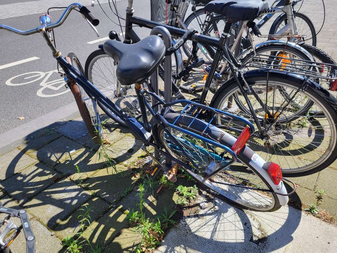 Bild zu gemeldetem Anliegen vom *2024-08-16 13:06:35