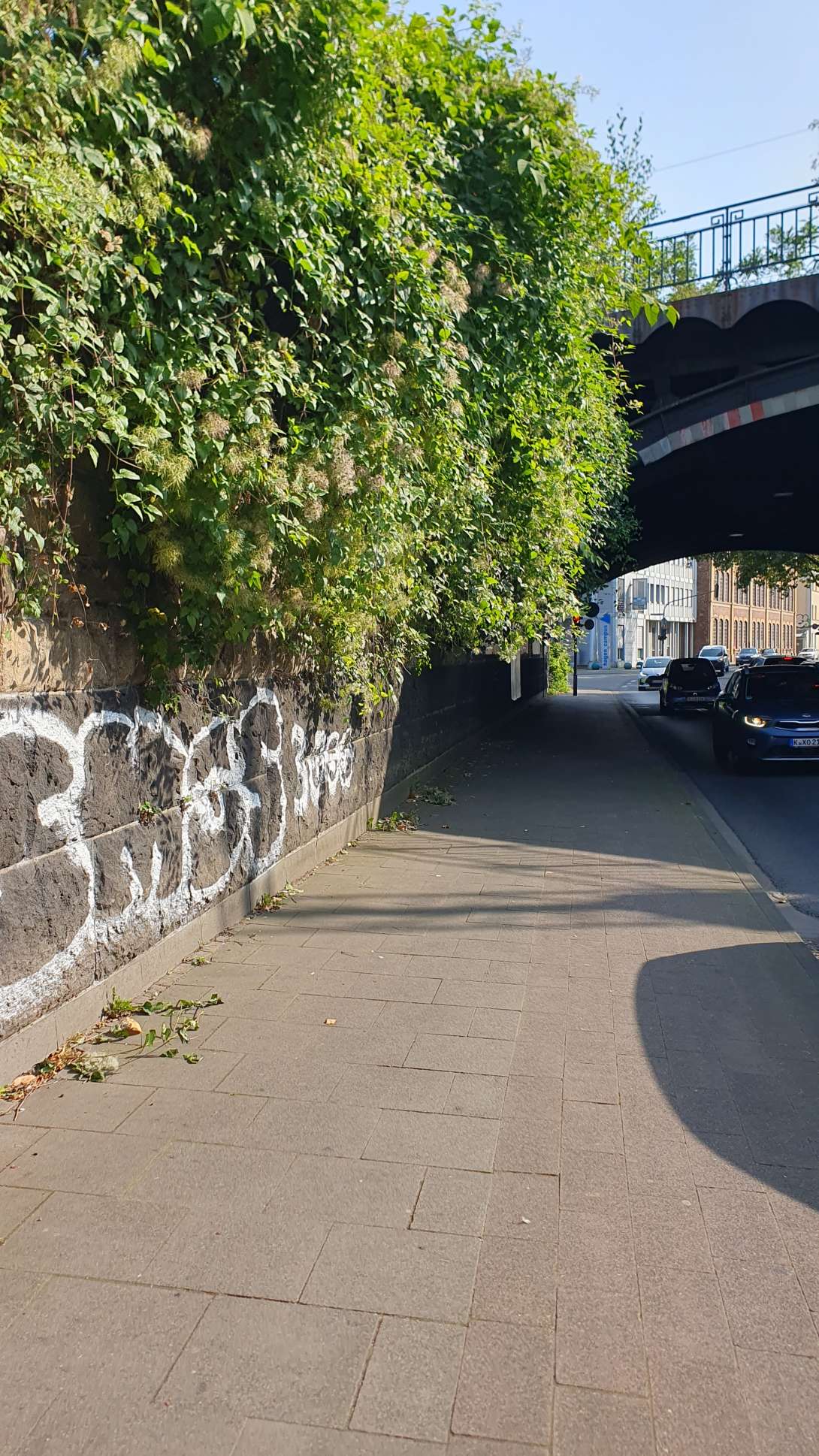 Bild zu gemeldetem Anliegen vom *2024-08-22 17:01:38