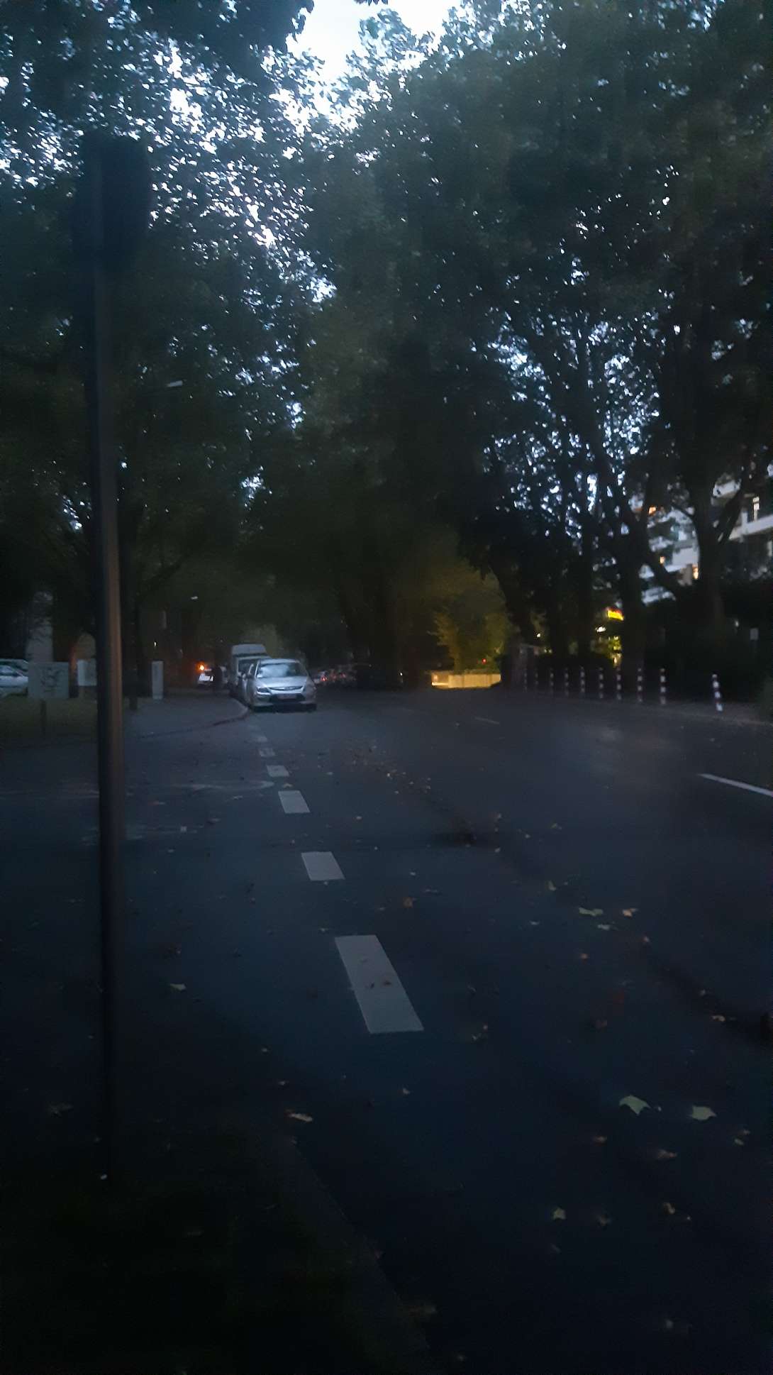 Bild zu gemeldetem Anliegen vom *2024-08-24 22:11:53