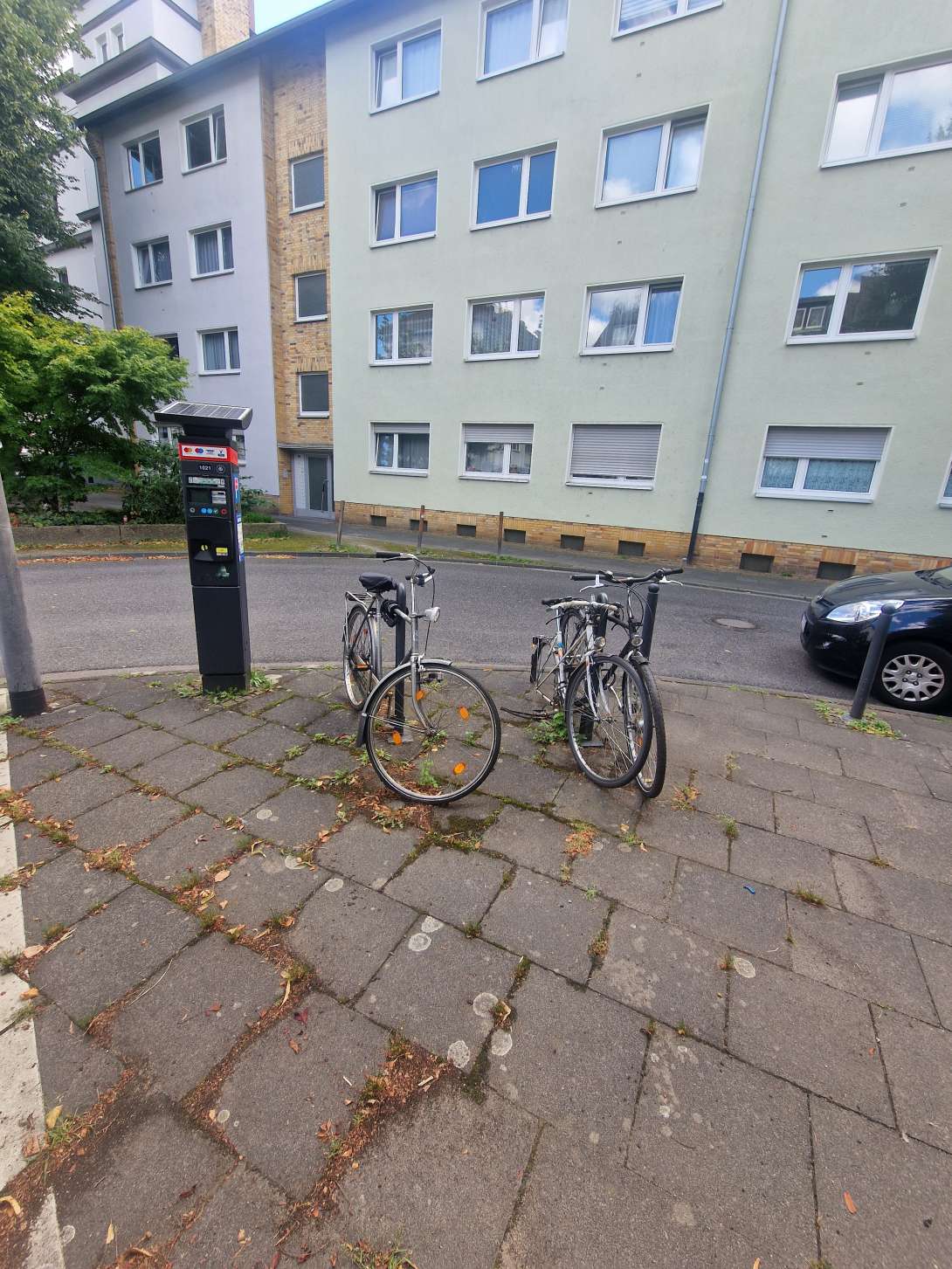 Bild zu gemeldetem Anliegen vom *2024-08-29 16:27:14