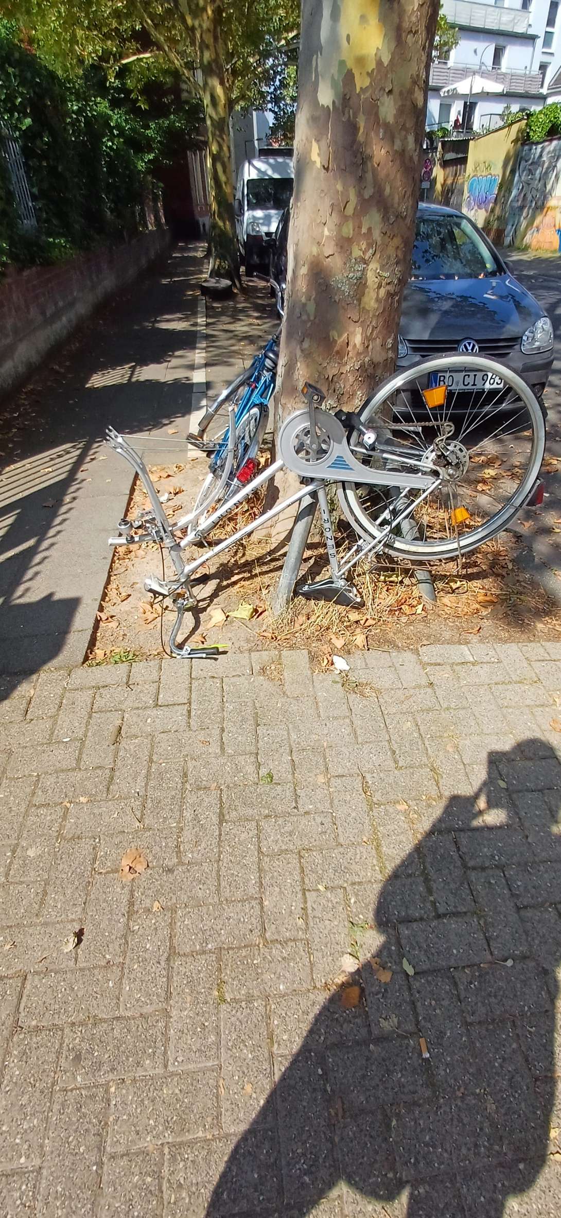 Bild zu gemeldetem Anliegen vom *2024-08-29 20:10:32