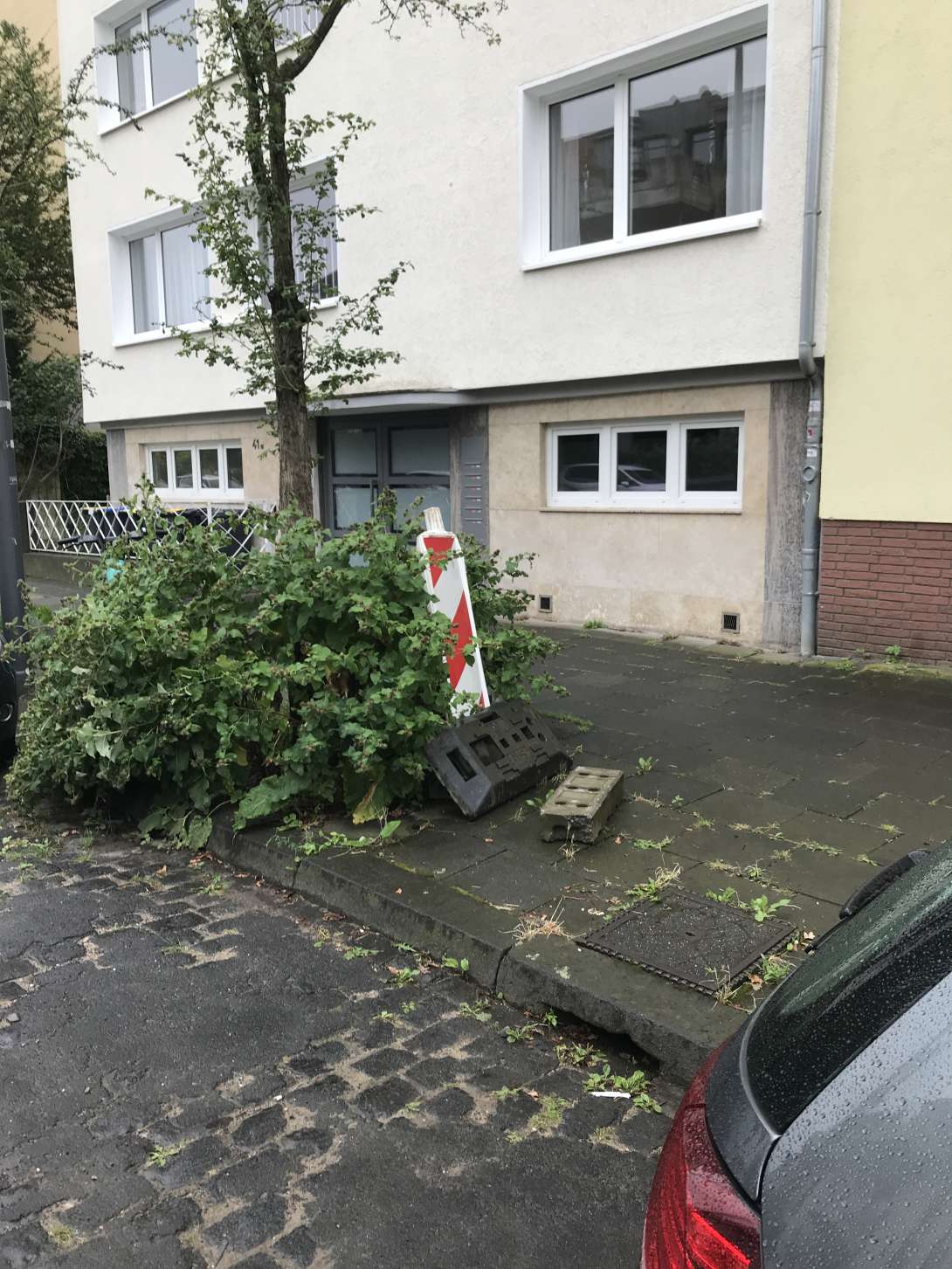Bild zu gemeldetem Anliegen vom *2024-08-02 10:22:18