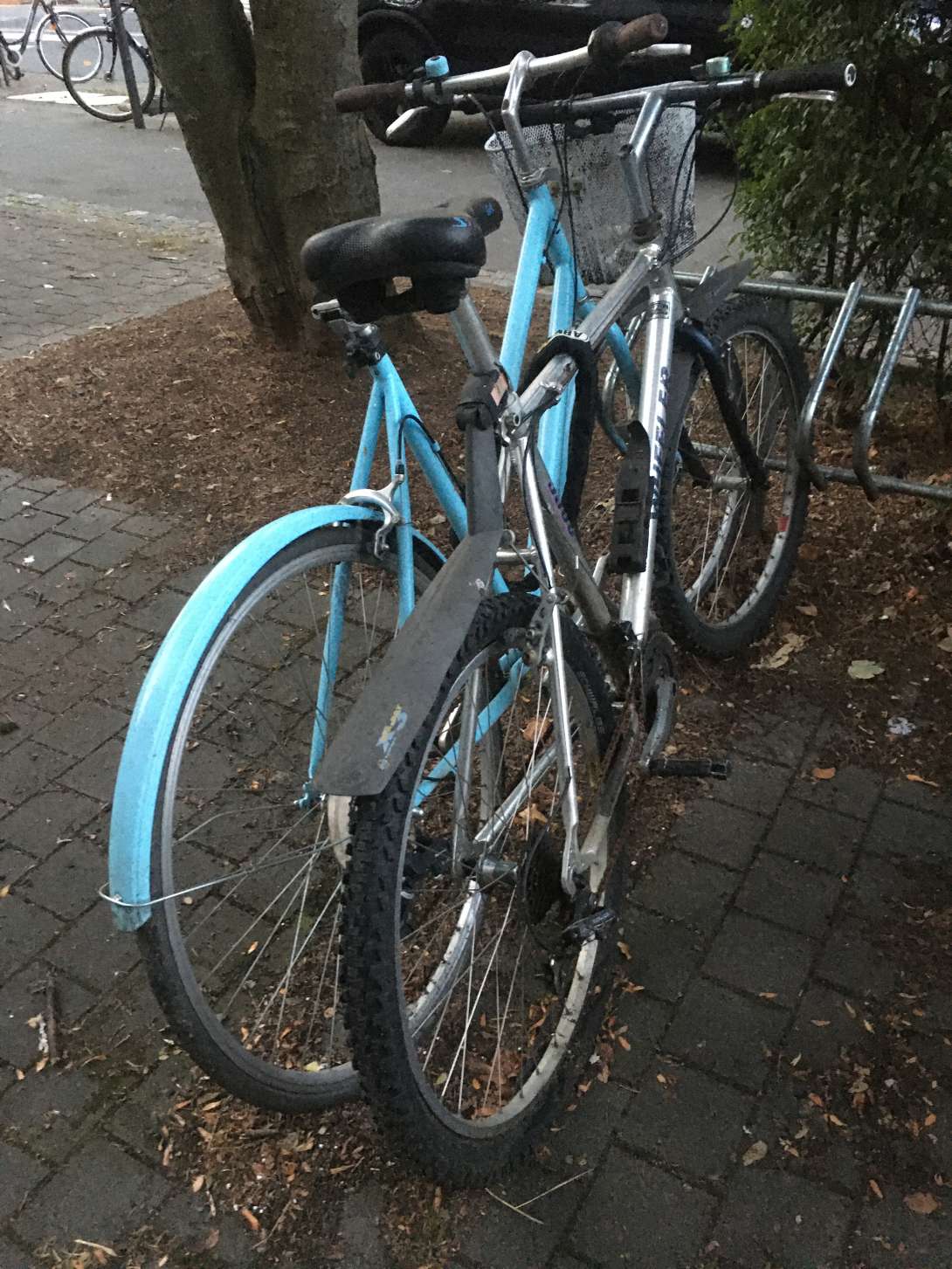 Bild zu gemeldetem Anliegen vom *2024-08-28 20:32:18