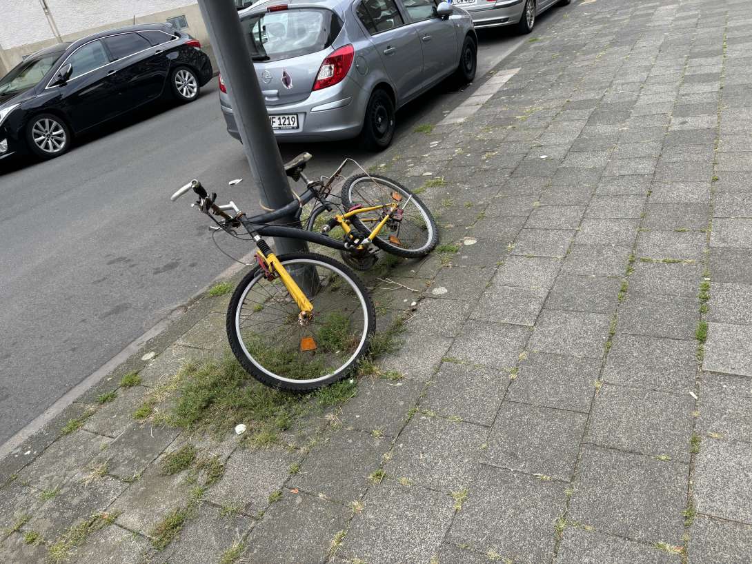 Bild zu gemeldetem Anliegen vom *2024-08-08 11:37:47