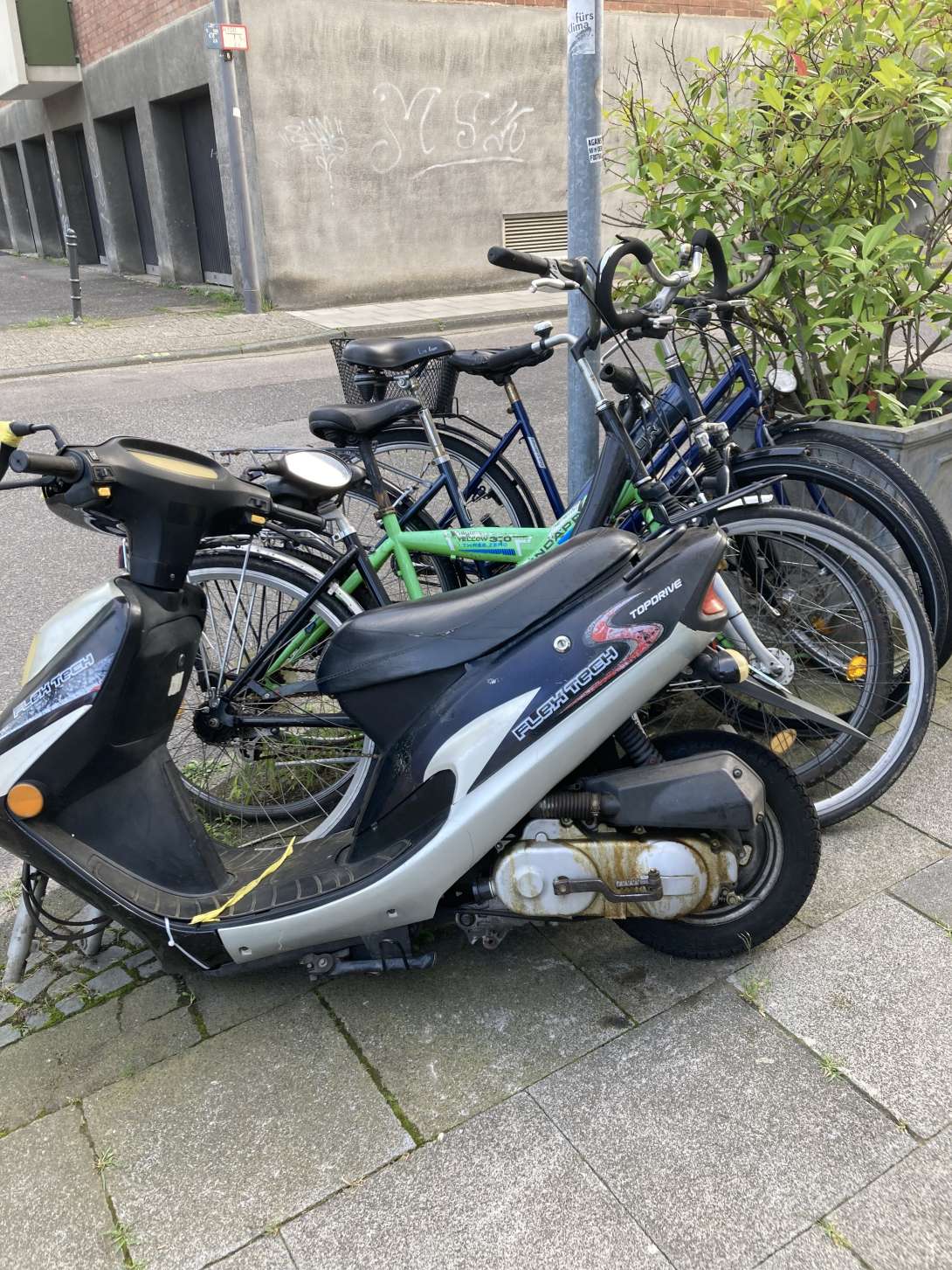 Bild zu gemeldetem Anliegen vom *2024-09-09 18:27:01