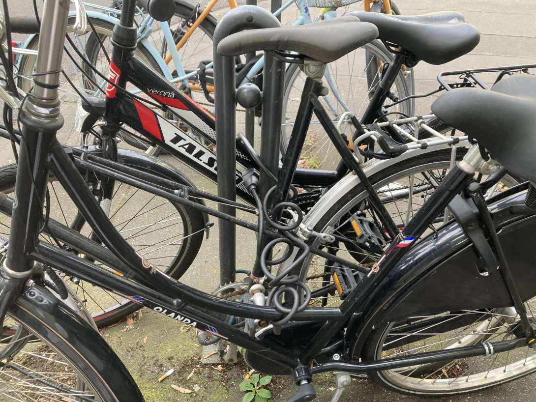 Bild zu gemeldetem Anliegen vom *2024-08-03 19:01:26