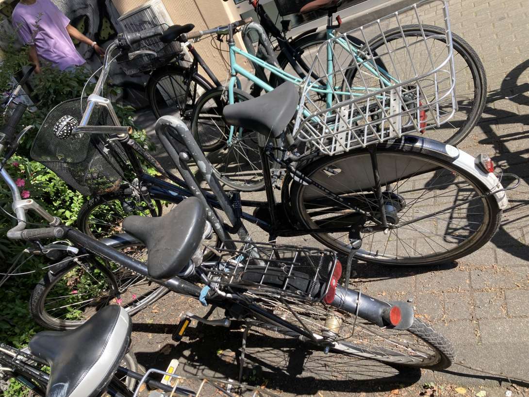 Bild zu gemeldetem Anliegen vom *2024-08-06 11:54:29