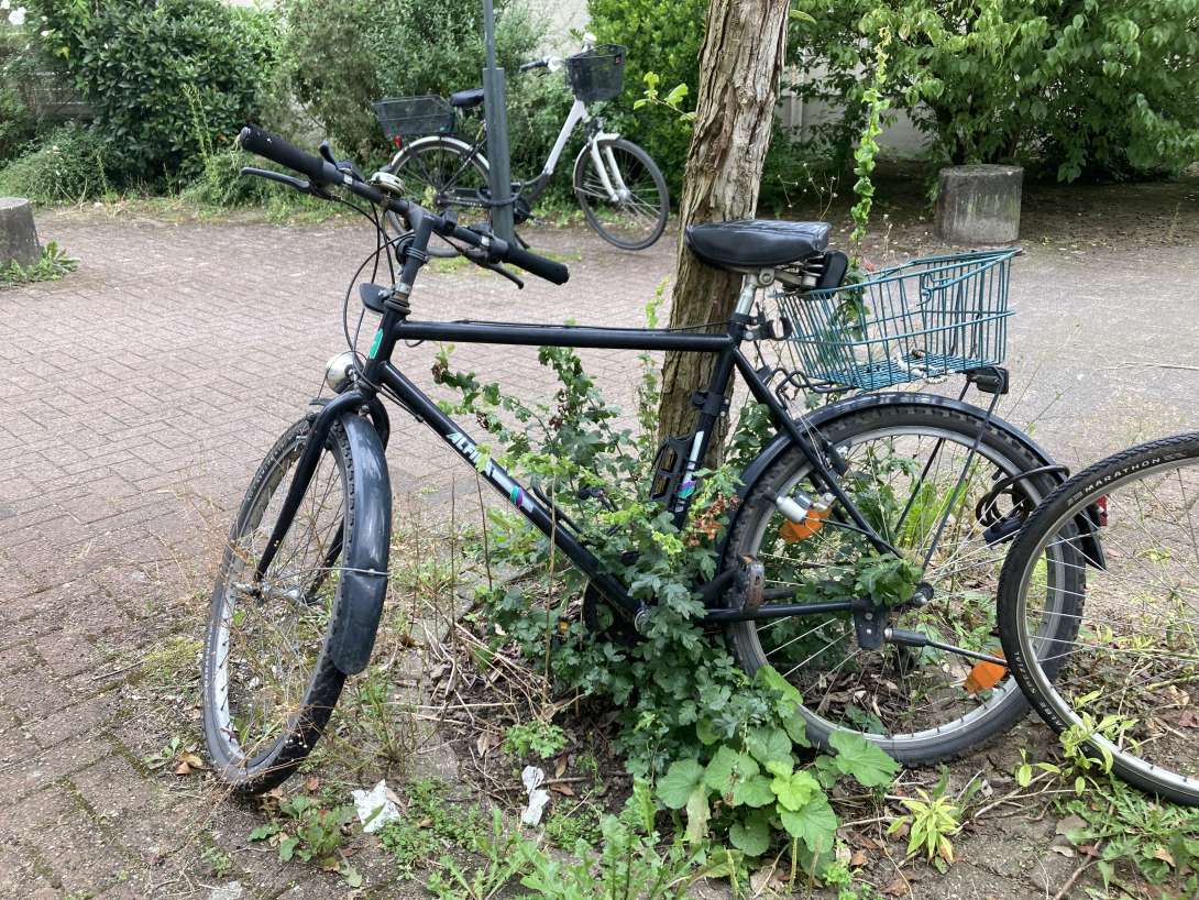 Bild zu gemeldetem Anliegen vom *2024-08-07 12:42:06