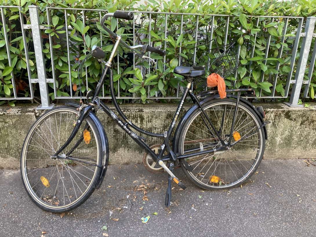 Bild zu gemeldetem Anliegen vom *2024-08-15 17:57:59