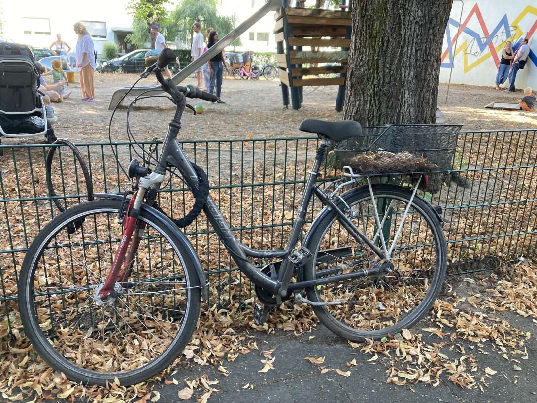 Bild zu gemeldetem Anliegen vom *2024-08-15 17:54:48