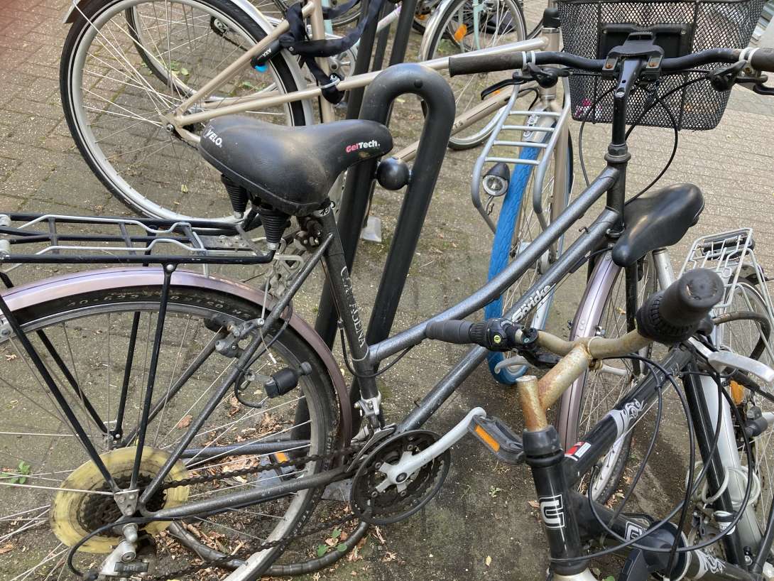 Bild zu gemeldetem Anliegen vom *2024-08-31 18:42:22