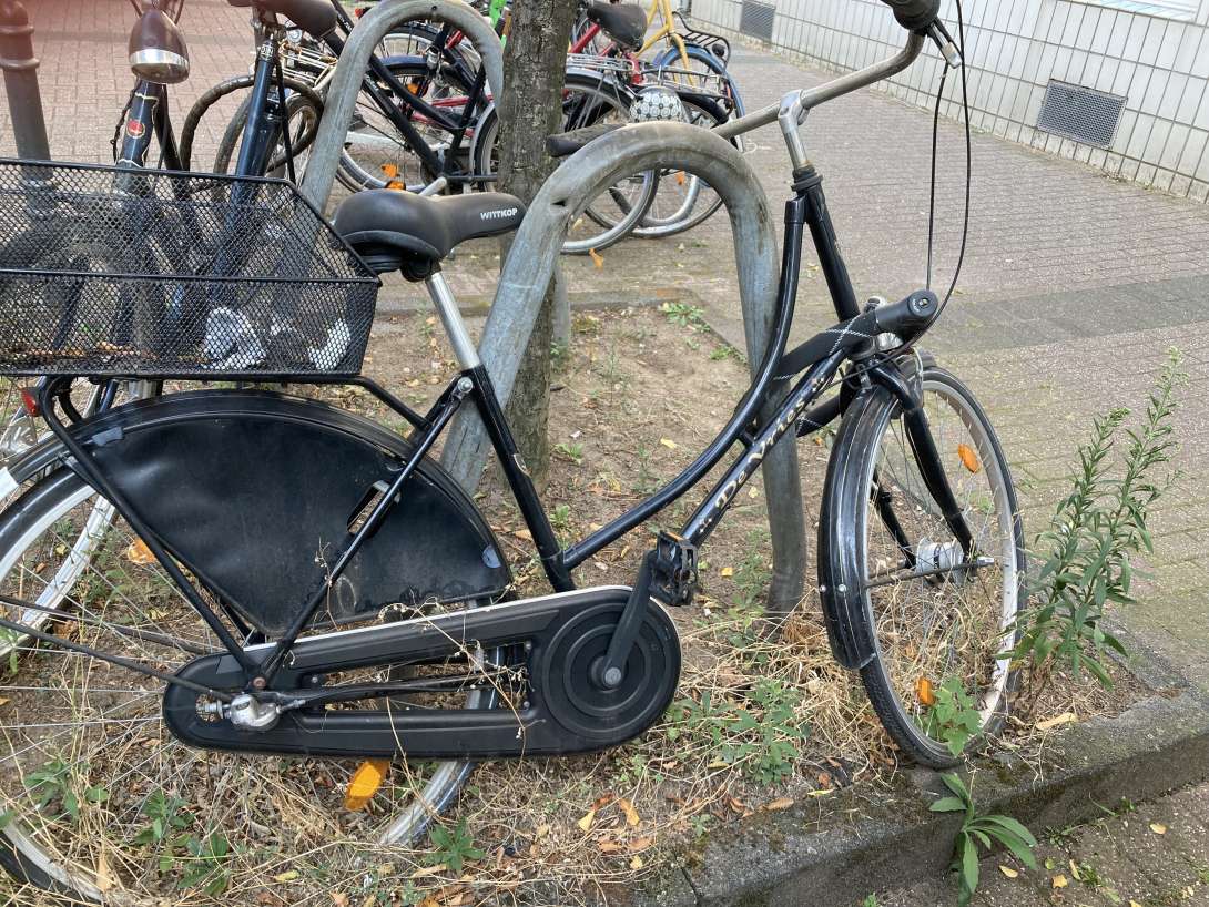 Bild zu gemeldetem Anliegen vom *2024-08-31 18:44:54